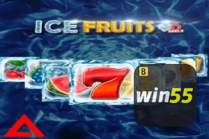 WIN55 ajuda online — chat de suporte no aplicativo oficial
