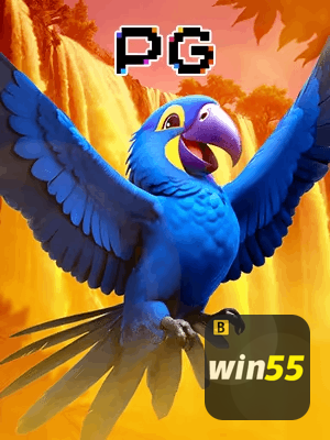WIN55 bônus — cashback 15 por cento e níveis VIP