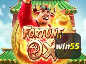 WIN55 login — painel de entrada no app oficial